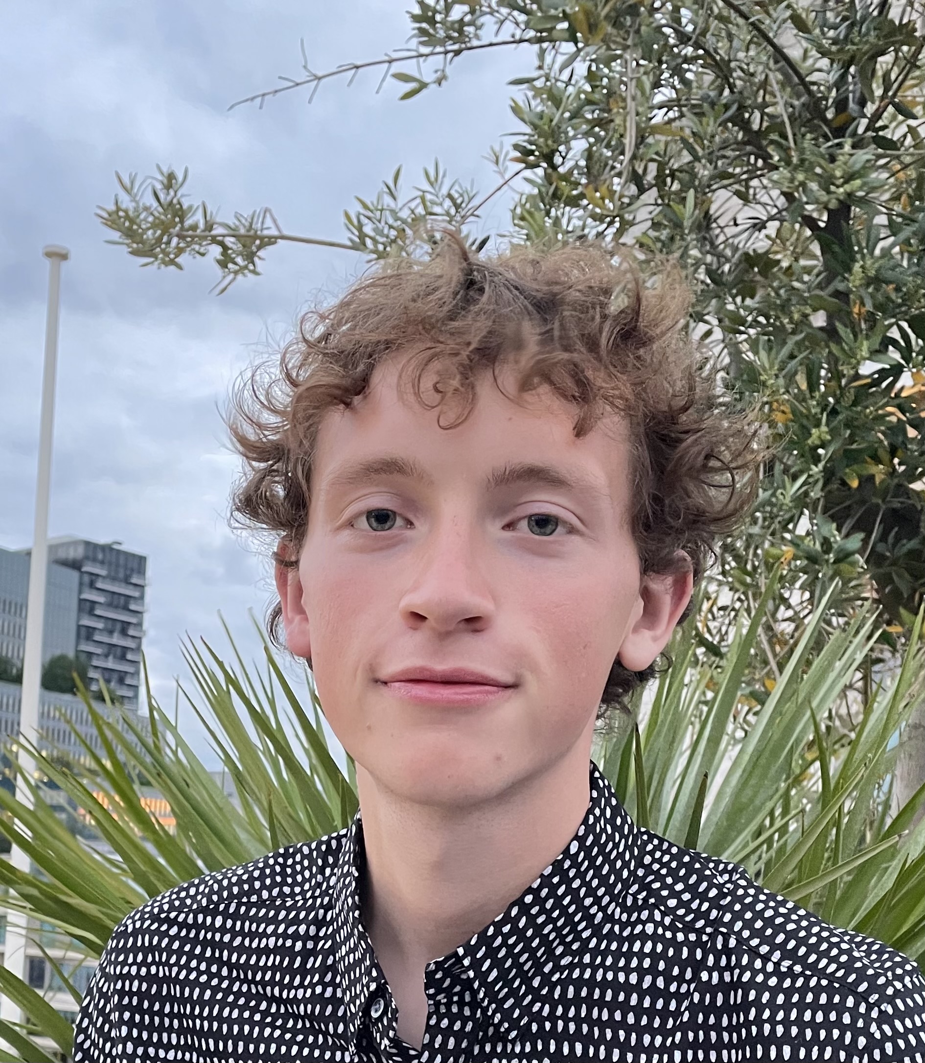 Imlillina'S Twitter Journey: A Social Blade Case Study - i0uvg9y